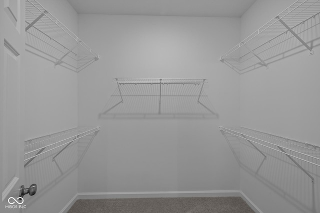 12490 Morning Ridge Way, Noblesville, IN 46060 - spacious closet with carpet
