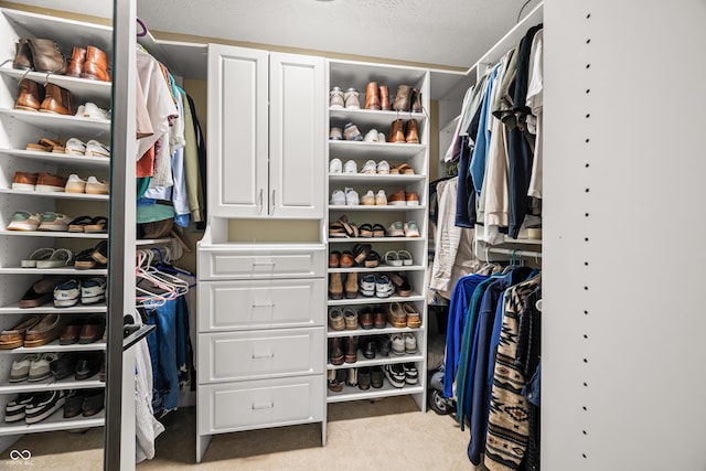 7833 Meadow Bend Dr, Indianapolis, IN 46259 - spacious closet with light carpet