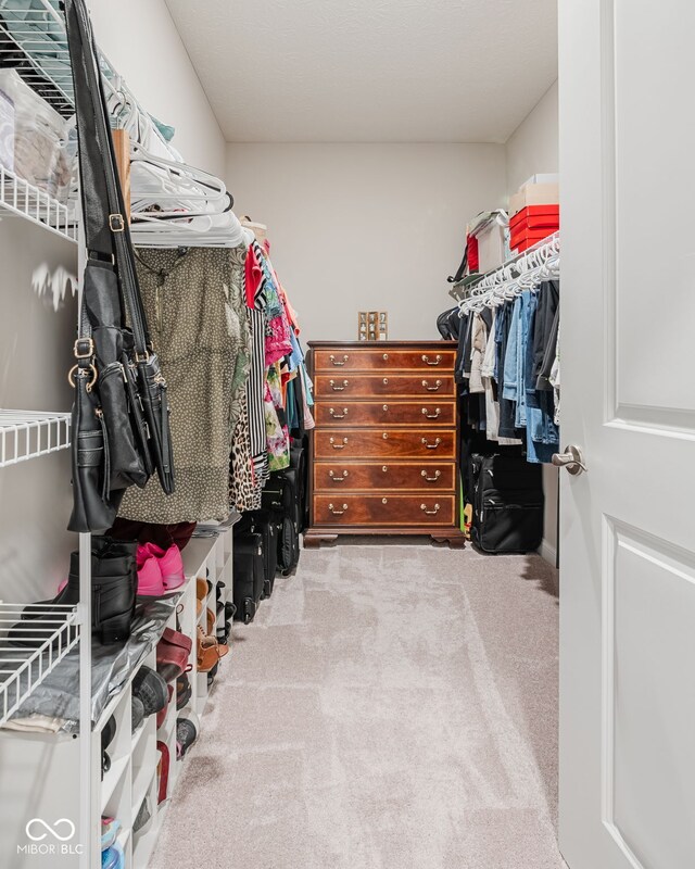 8842 Twain Ln, Indianapolis, IN 46239 - spacious closet with carpet floors