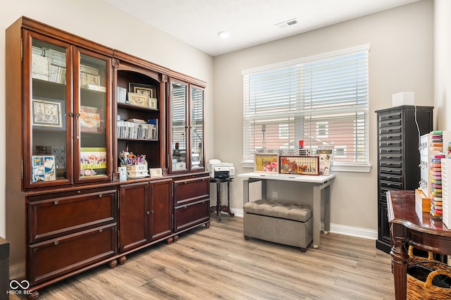 8842 Twain Ln, Indianapolis, IN 46239 - office space featuring light wood finished floors