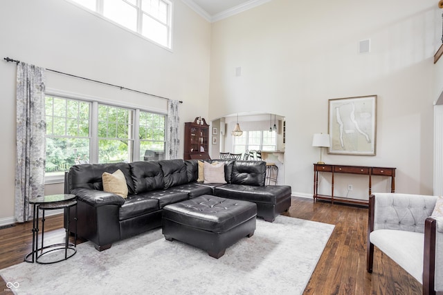 47 Torrey Pine Dr, Brownsburg, IN 46112 - living room with ornamental molding, a towering ceiling, dark wood-style floors, and arched walkways