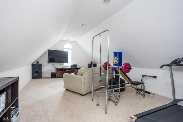47 Torrey Pine Dr, Brownsburg, IN 46112 - exercise room featuring carpet and lofted ceiling