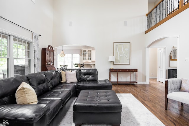 47 Torrey Pine Dr, Brownsburg, IN 46112 - living room with arched walkways, a towering ceiling, plenty of natural light, and wood finished floors