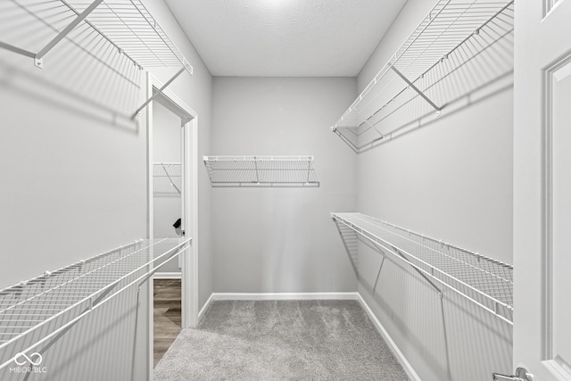 12516 Morning Ridge Way, Noblesville, IN 46060 - spacious closet featuring carpet