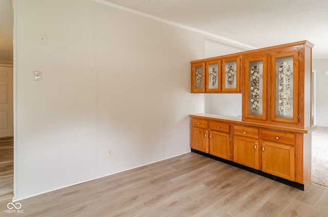3149 Carson Ave, Indianapolis, IN 46227 - interior space with light wood-type flooring, crown molding, and lofted ceiling