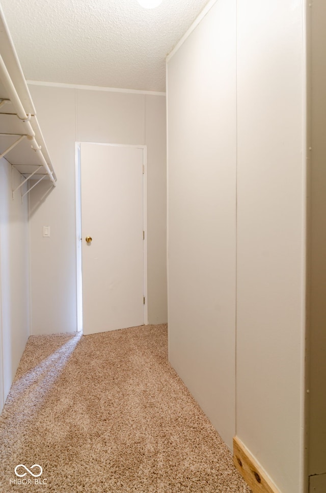 3149 Carson Ave, Indianapolis, IN 46227 - walk in closet with carpet floors