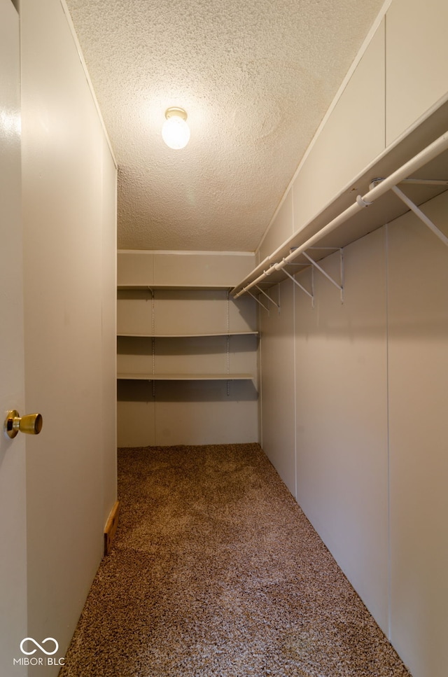 3149 Carson Ave, Indianapolis, IN 46227 - walk in closet with carpet flooring