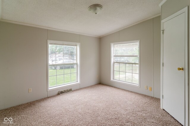 3149 Carson Ave, Indianapolis, IN 46227 - unfurnished room featuring ornamental molding, vaulted ceiling, carpet, and a textured ceiling