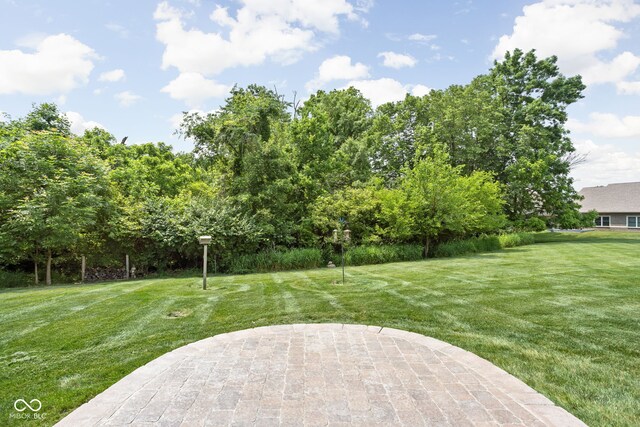 5194 Orahood Ct, Plainfield, IN 46168 - view of grassy yard with a patio