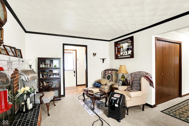 11630 Deanna Dr, Indianapolis, IN 46229 - carpeted living area with crown molding