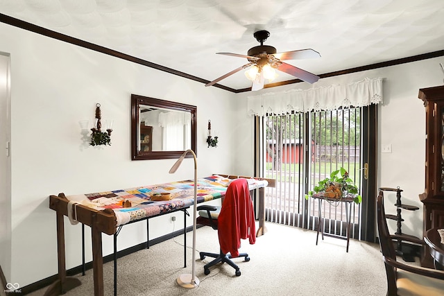 11630 Deanna Dr, Indianapolis, IN 46229 - carpeted office space featuring ceiling fan and crown molding