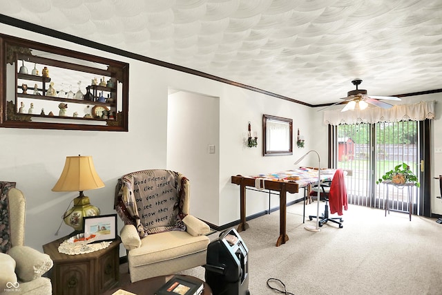 11630 Deanna Dr, Indianapolis, IN 46229 - carpeted office space with ceiling fan and ornamental molding