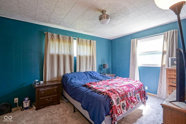 11 Sayre Dr, Greenwood, IN 46143 - bedroom with multiple windows and carpet