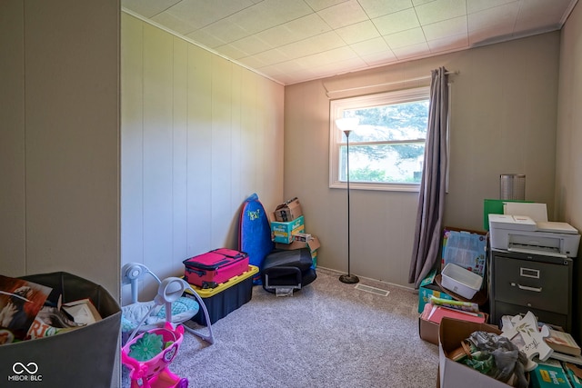 11 Sayre Dr, Greenwood, IN 46143 - rec room with carpet flooring