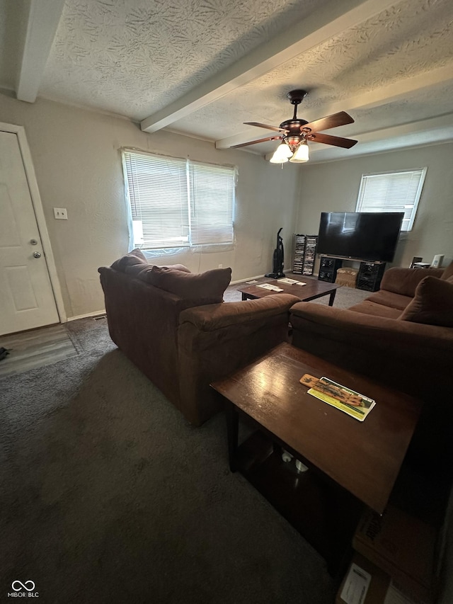 4744 E 33rd St, Indianapolis, IN 46218 - living room featuring beam ceiling, healthy amount of natural light, a ceiling fan, a textured ceiling, and carpet floors