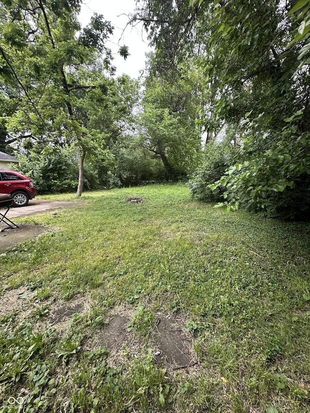 4744 E 33rd St, Indianapolis, IN 46218 - view of yard