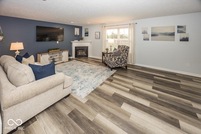 12845 Touchdown Dr, Fishers, IN 46037 - living area with wood finished floors and a glass covered fireplace