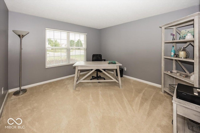 12845 Touchdown Dr, Fishers, IN 46037 - office featuring light carpet