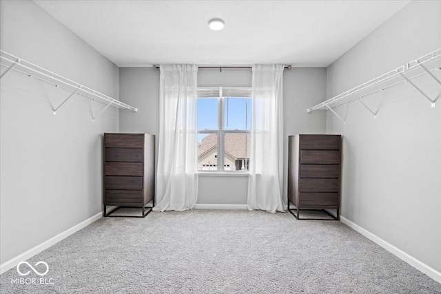4253 Ironclad Dr, Bargersville, IN 46106 - spacious closet with carpet flooring