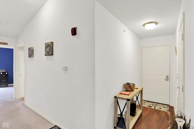 5011 Amber Creek Pl Unit 310, Indianapolis, IN 46237 - hall with baseboards