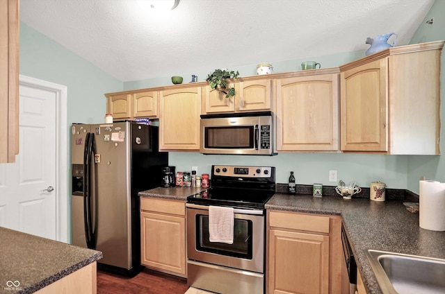 5011 Amber Creek Pl Unit 310, Indianapolis, IN 46237 - kitchen featuring stainless steel appliances, light brown cabinetry, dark countertops, lofted ceiling, and a textured ceiling