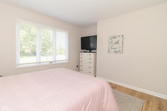 8429 Catamaran Dr, Indianapolis, IN 46236 - bedroom with light wood-type flooring and multiple windows