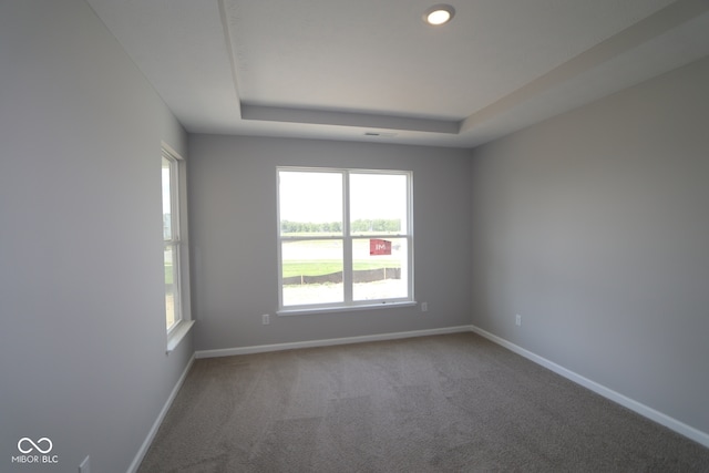 12524 Morning Ridge Way, Noblesville, IN 46060 - spare room featuring carpet floors and a tray ceiling