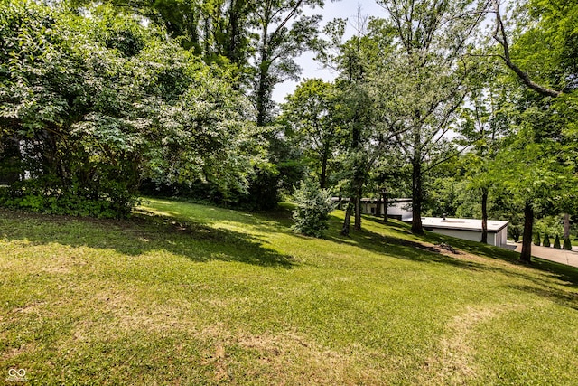 6164 Afton Crst, Indianapolis, IN 46220 - view of grassy yard