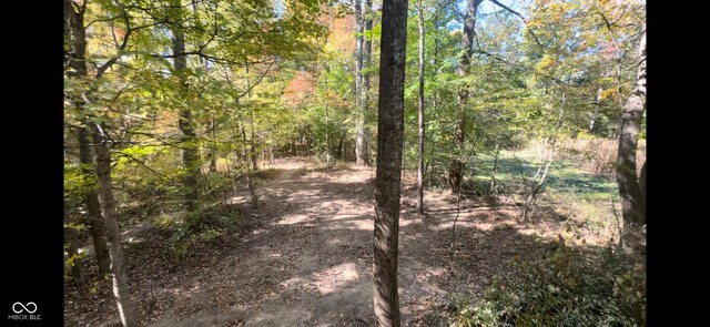 2246 E Yellowwood Ln, Martinsville, IN 46151 - photo 22