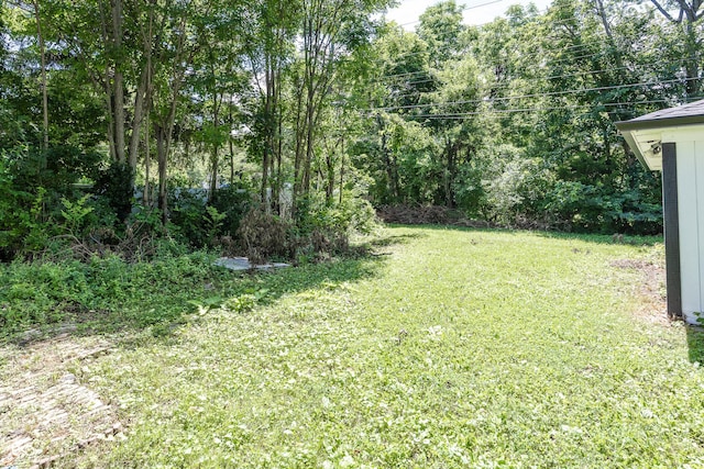 12003 Broadway St, Indianapolis, IN 46236 - view of green lawn