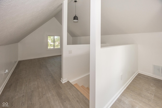 12003 Broadway St, Indianapolis, IN 46236 - additional living space with wood finished floors, vaulted ceiling, and a textured ceiling