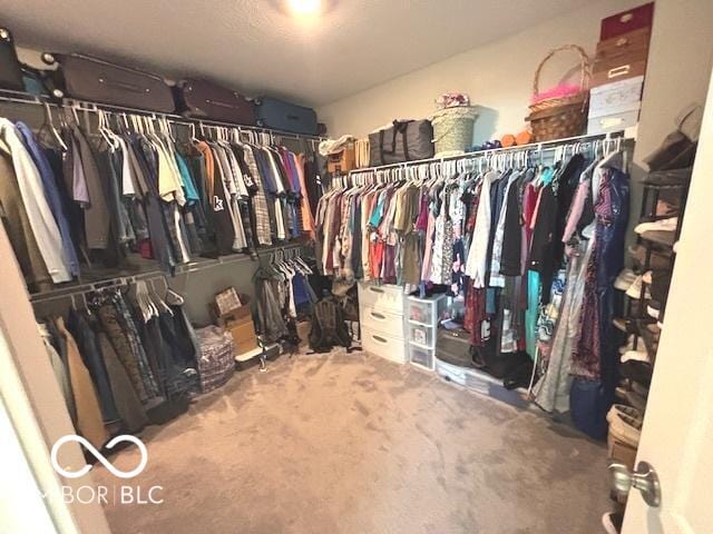 520 Ferndale Ln, Danville, IN 46122 - walk in closet with carpet