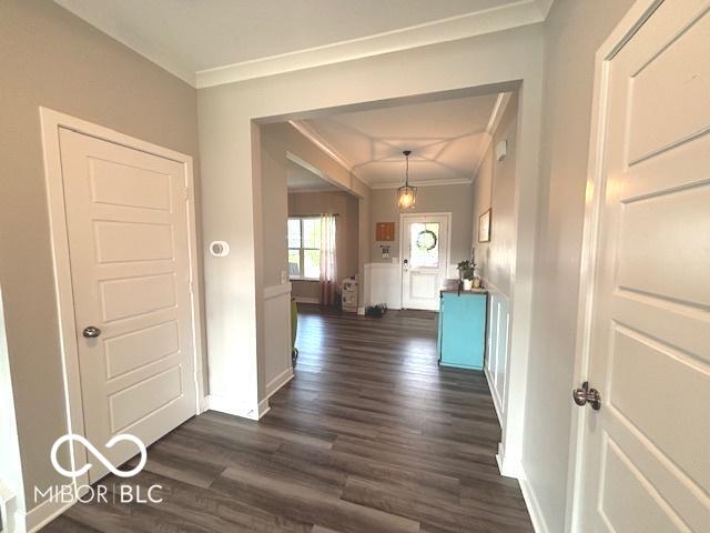 520 Ferndale Ln, Danville, IN 46122 - hall featuring crown molding and dark wood finished floors