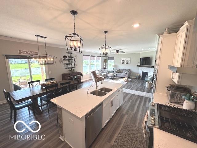 520 Ferndale Ln, Danville, IN 46122 - kitchen featuring stainless steel dishwasher, open floor plan, white cabinets, dark wood-type flooring, and crown molding