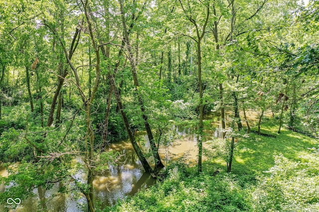 9825 Covington Blvd, Fishers, IN 46037 - view of undeveloped land