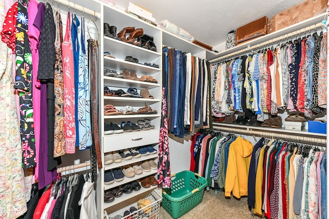 9825 Covington Blvd, Fishers, IN 46037 - spacious closet featuring carpet flooring