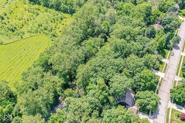 9825 Covington Blvd, Fishers, IN 46037 - drone / aerial view of a forest