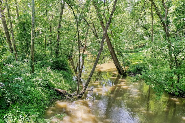 9825 Covington Blvd, Fishers, IN 46037 - view of nature