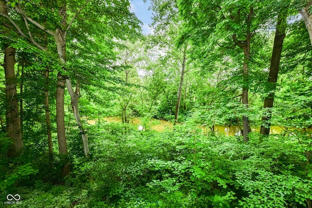 9825 Covington Blvd, Fishers, IN 46037 - view of tree filled area