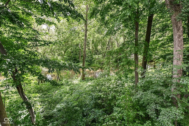 9825 Covington Blvd, Fishers, IN 46037 - view of tree filled area