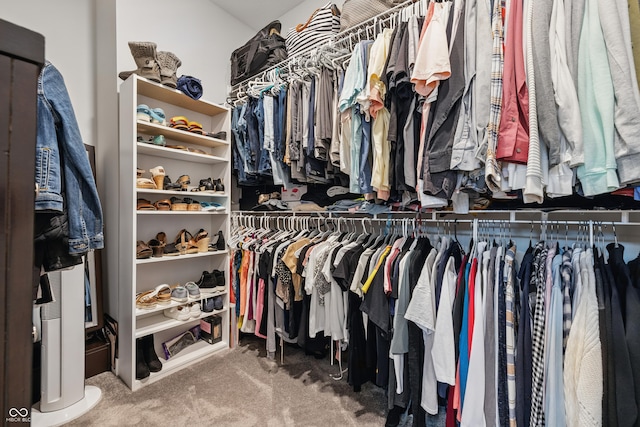 3839 Albert Ln, Bargersville, IN 46106 - spacious closet featuring carpet flooring