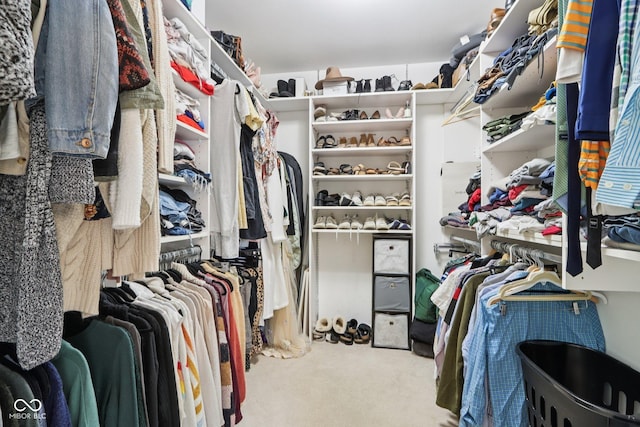 7029 Kingswood Cir, Indianapolis, IN 46256 - walk in closet featuring carpet flooring