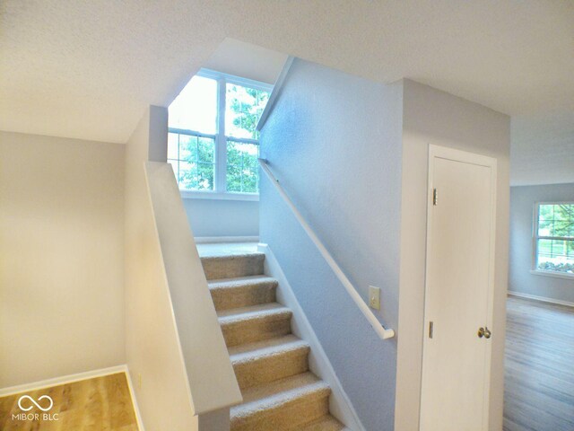 6412 Cradle River Dr, Indianapolis, IN 46221 - photo 10