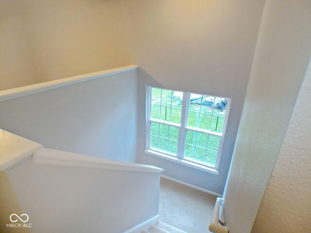 6412 Cradle River Dr, Indianapolis, IN 46221 - photo 11