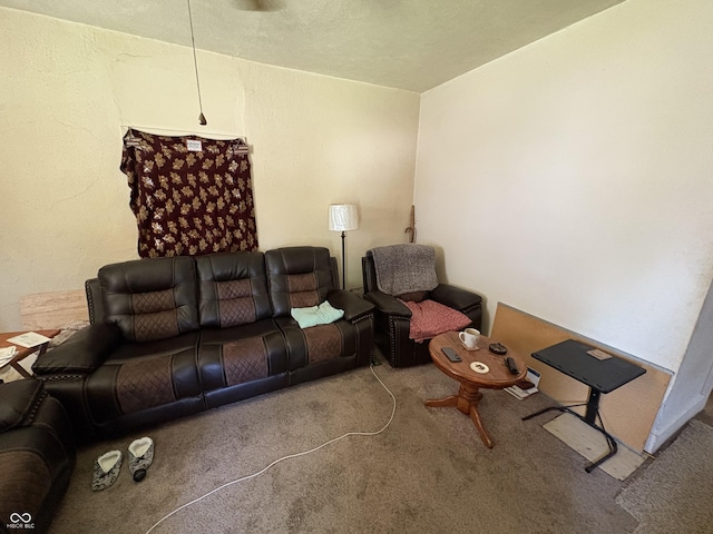 1809 E 13th St, Muncie, IN 47302 - living area with carpet floors