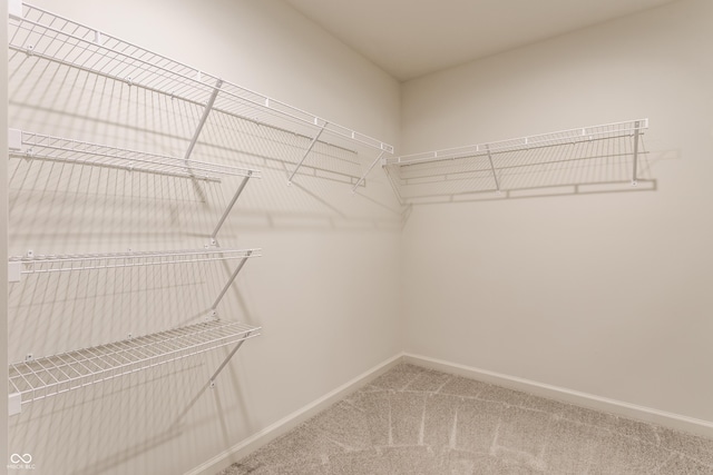 6537 Seabiscuit Rd, Whitestown, IN 46075 - walk in closet with carpet flooring