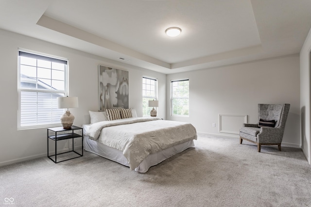 6537 Seabiscuit Rd, Whitestown, IN 46075 - bedroom with a raised ceiling and carpet