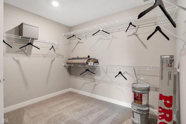 19820 Moorpark Lndg, Noblesville, IN 46062 - spacious closet featuring carpet