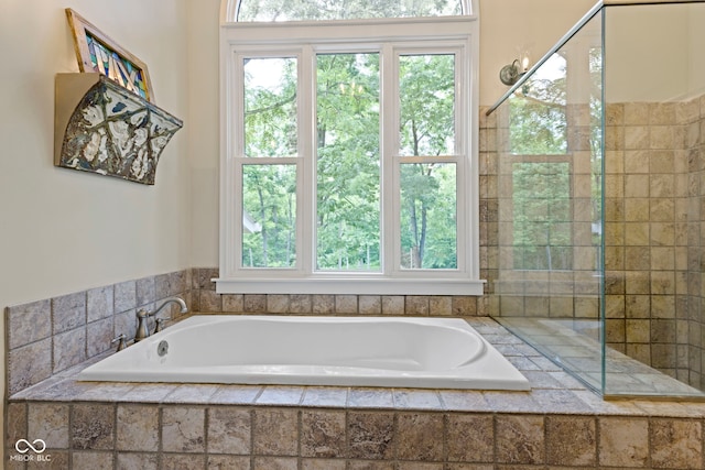 17320 Joliet Rd, Westfield, IN 46074 - bathroom with a bath, plenty of natural light, and a tile shower