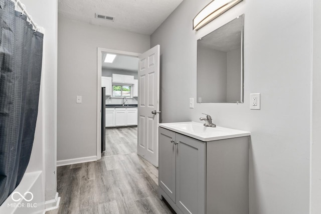 3529 Hunt St, Plainfield, IN 46168 - bathroom with wood finished floors, vanity, a shower with shower curtain, and a textured ceiling